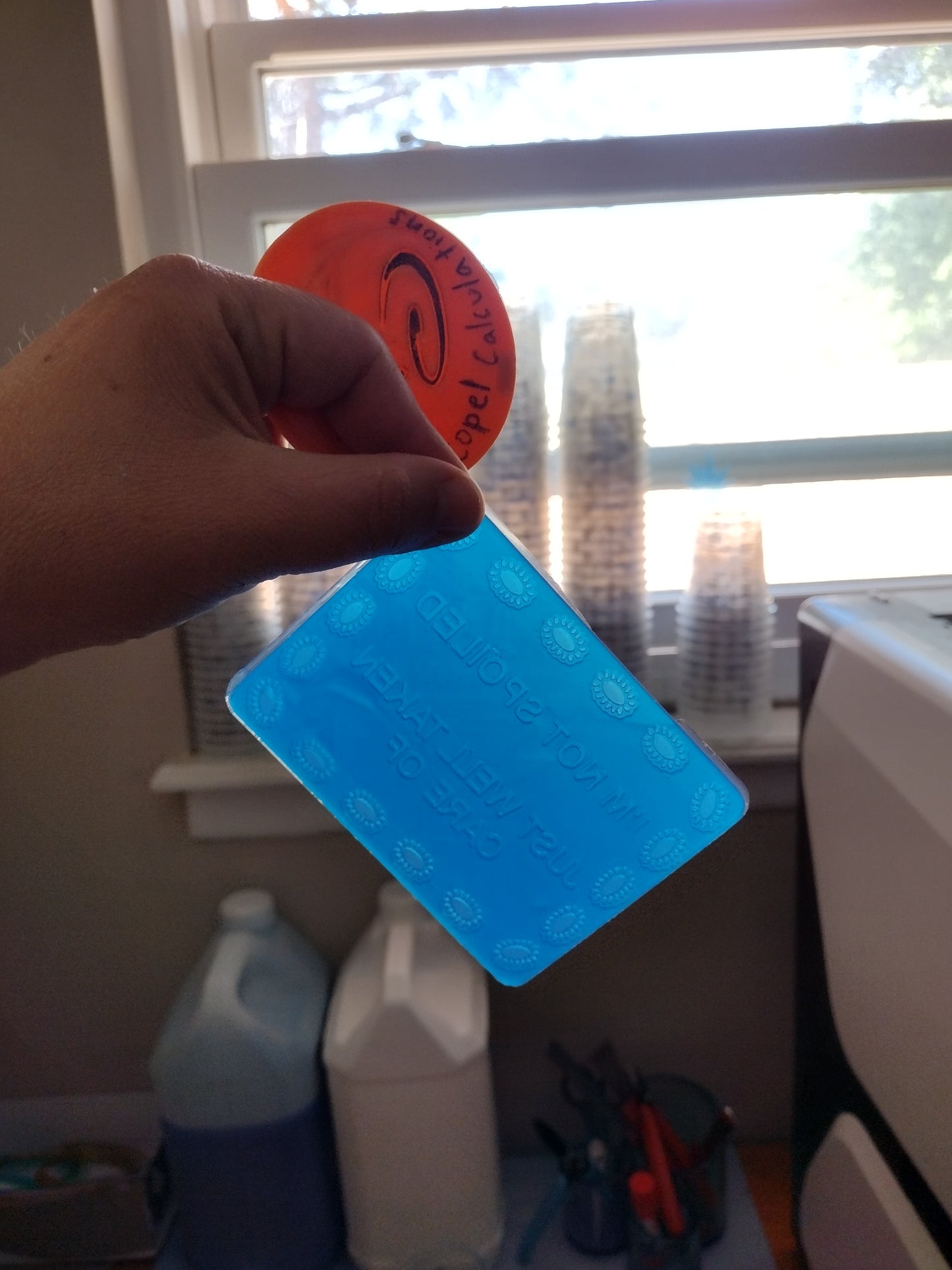 Not Spoiled (insert for rounded rectangle)