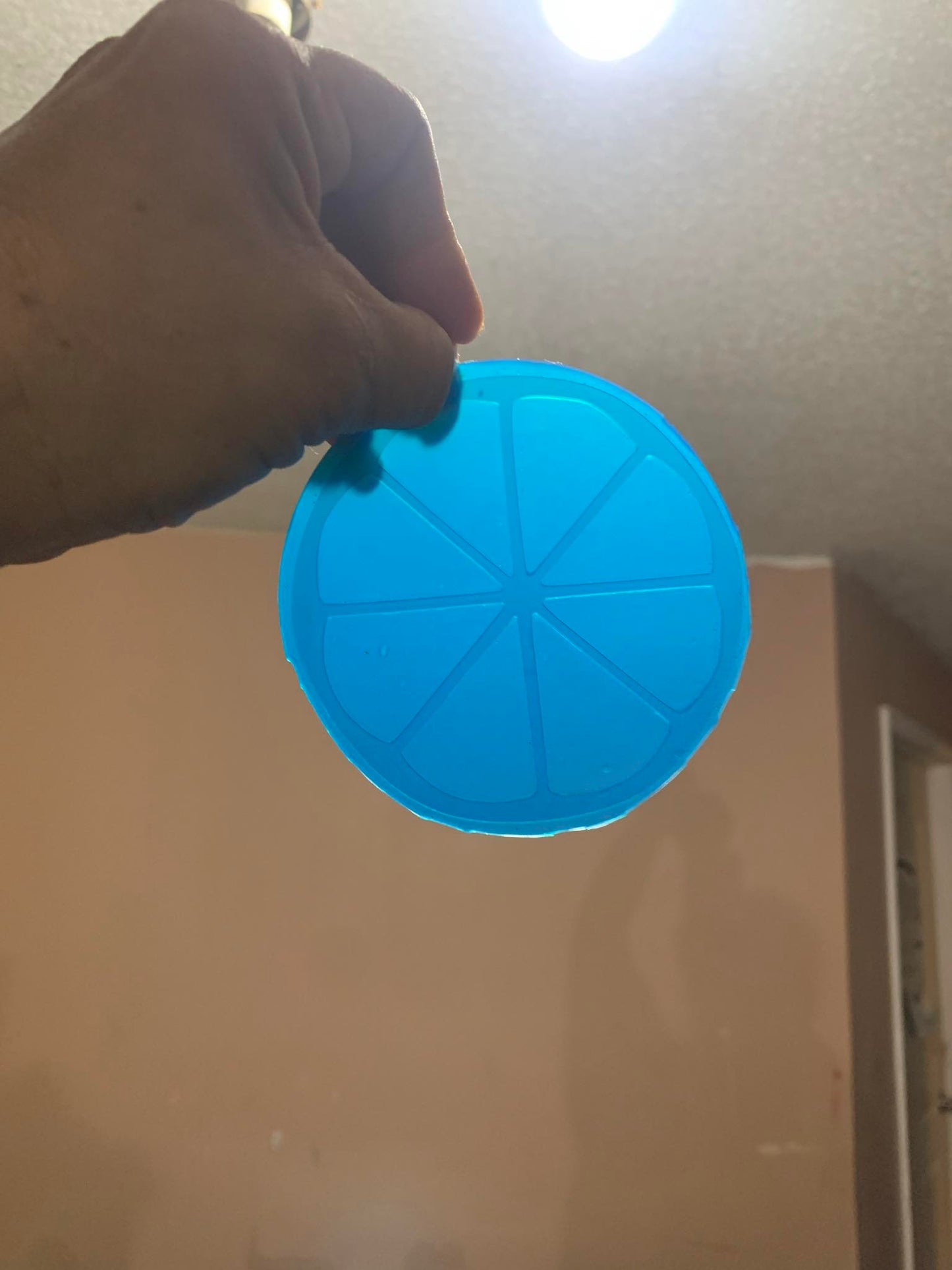 Fruit Slice (insert for 4" round)