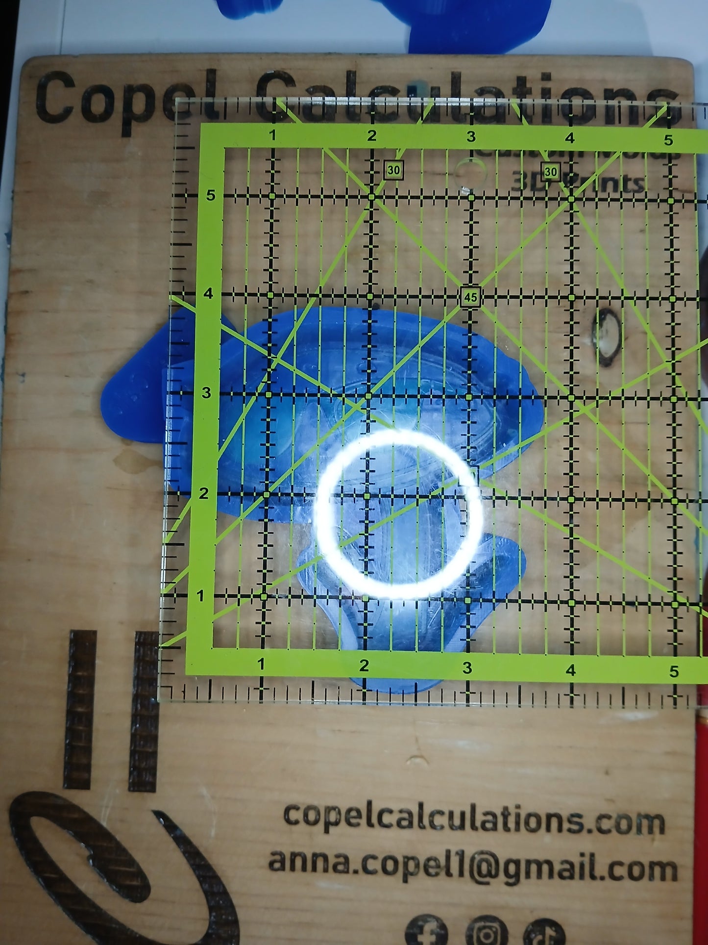 Mushroom with Sunglasses