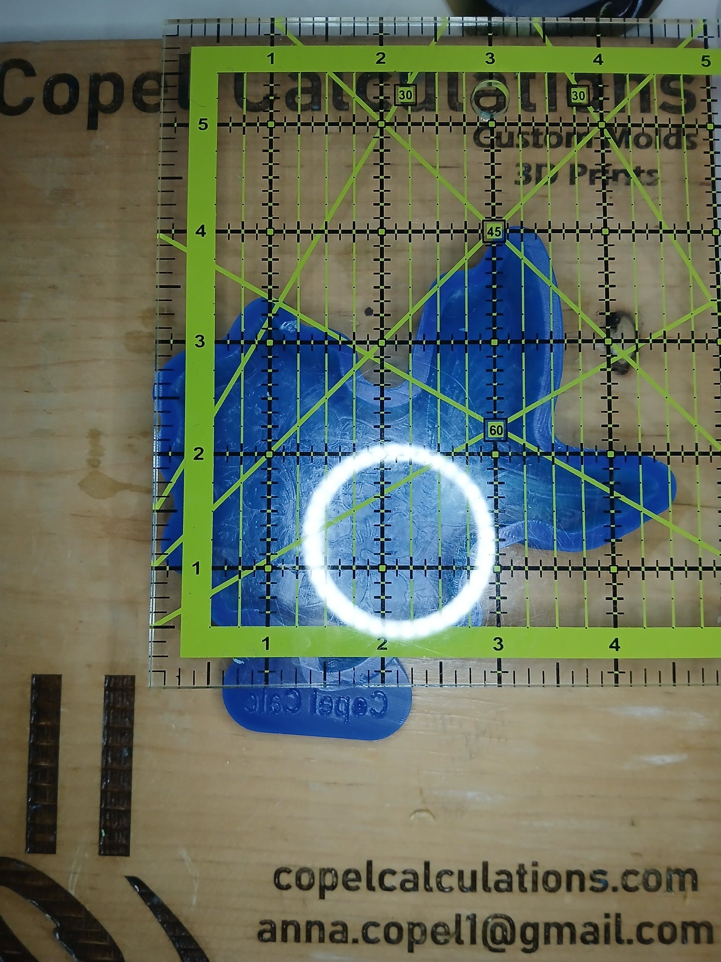 Hummingbird with Flowers