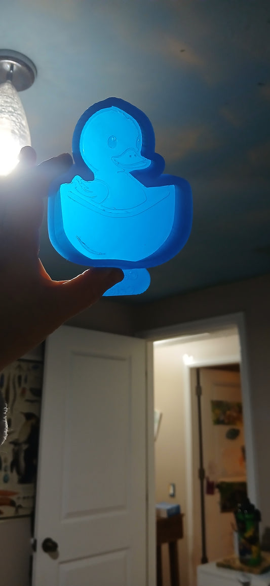Duck in Pocket