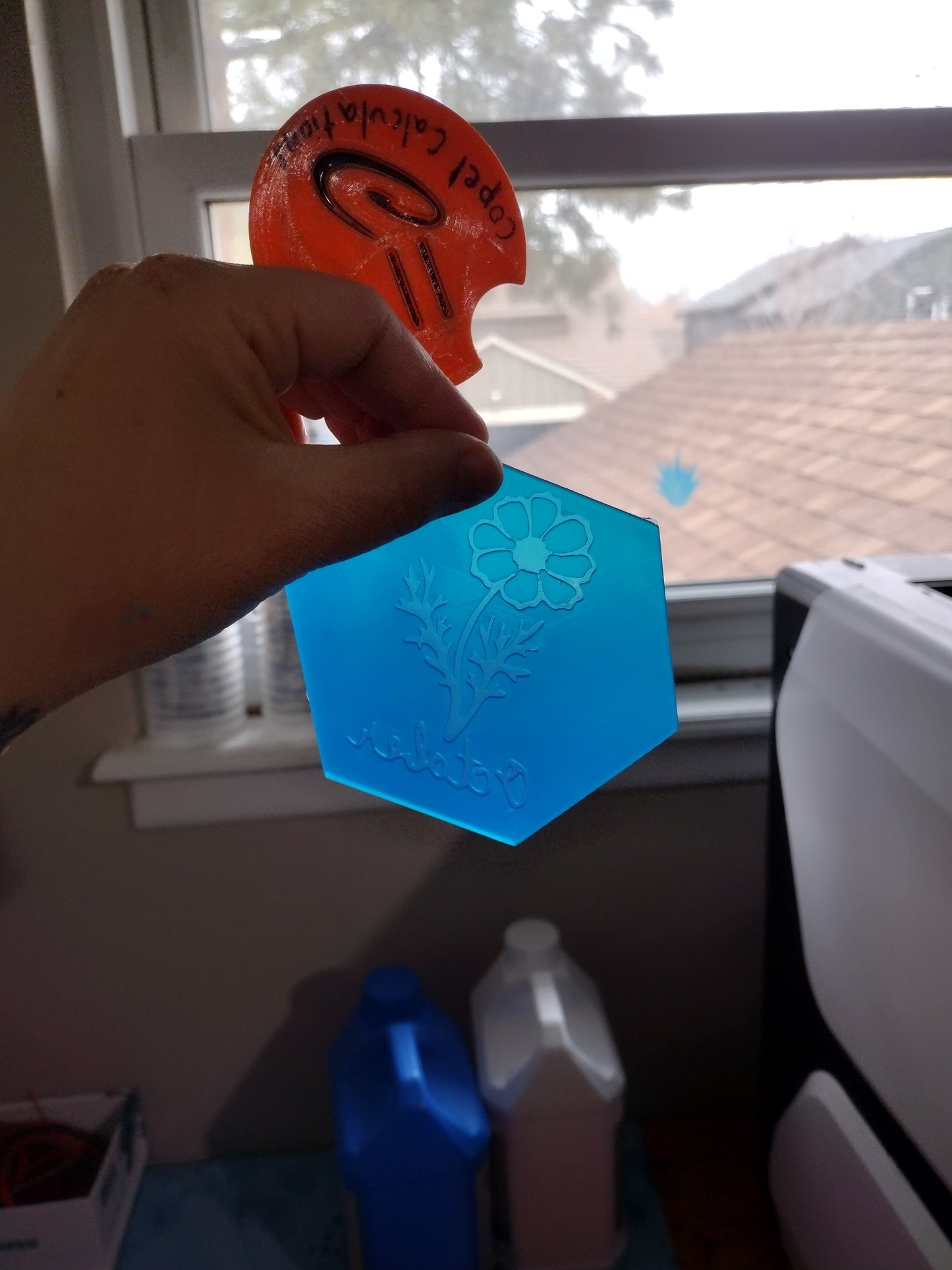 Birth Month Flowers (inserts for hexagon mold)