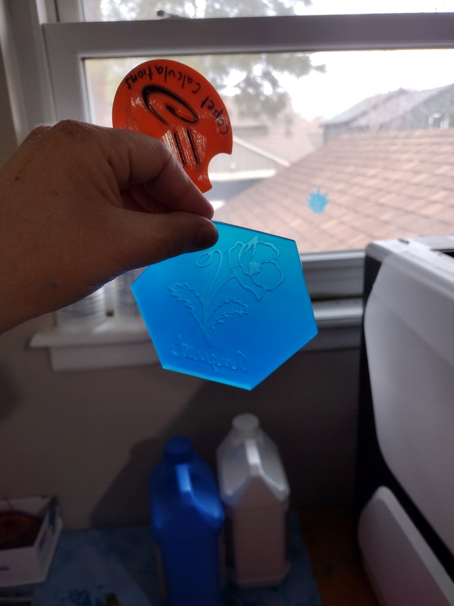 Birth Month Flowers (inserts for hexagon mold)