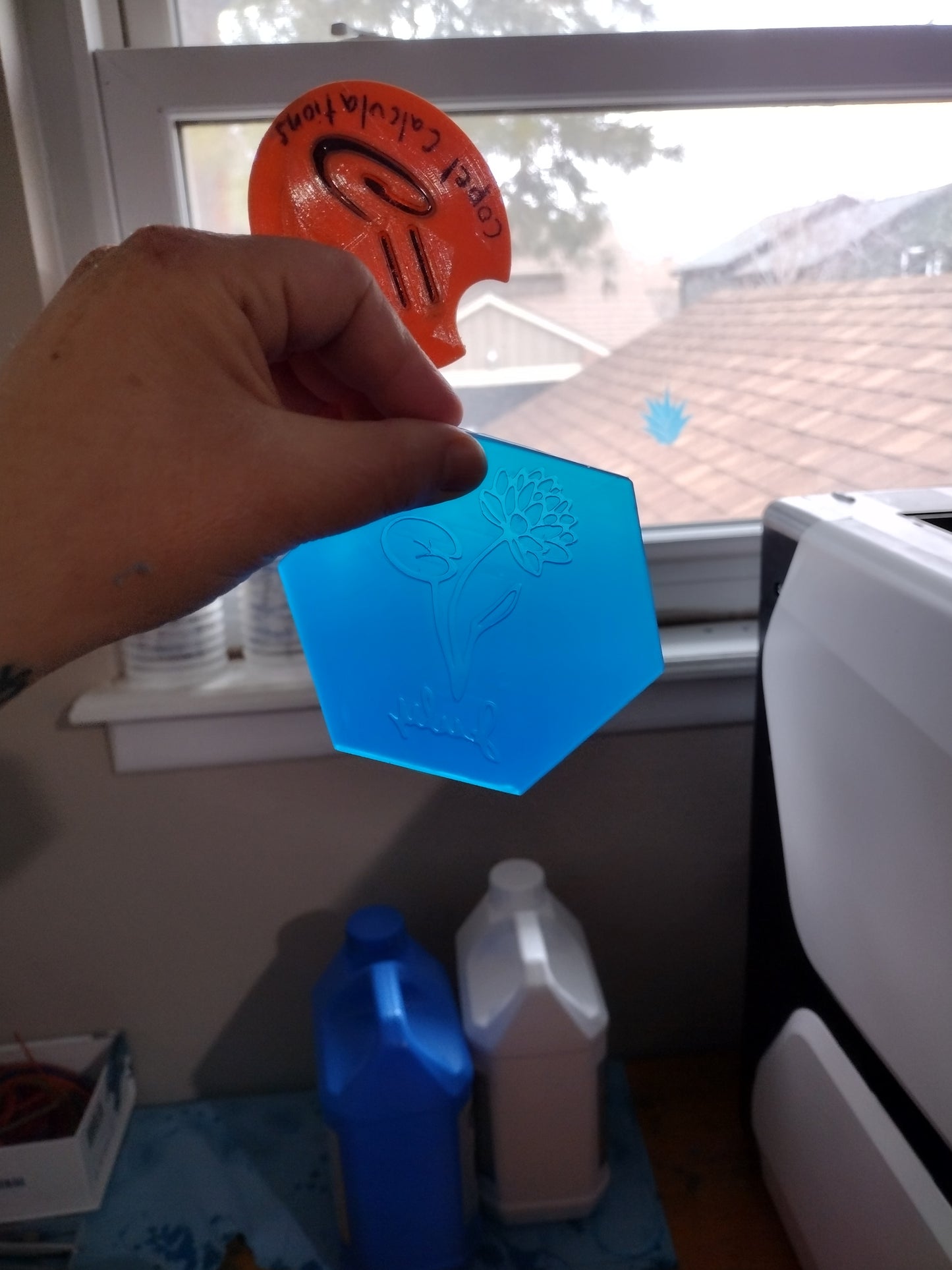 Birth Month Flowers (inserts for hexagon mold)