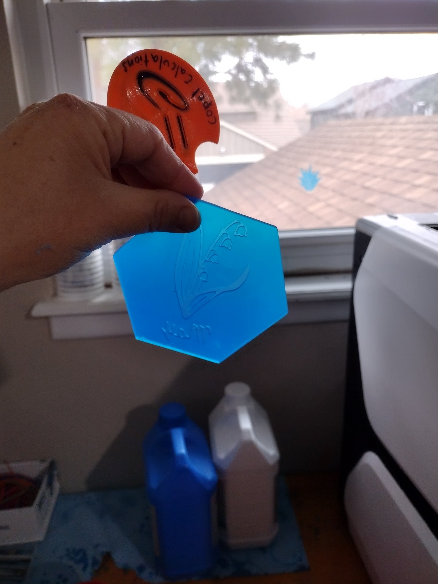 Birth Month Flowers (inserts for hexagon mold)