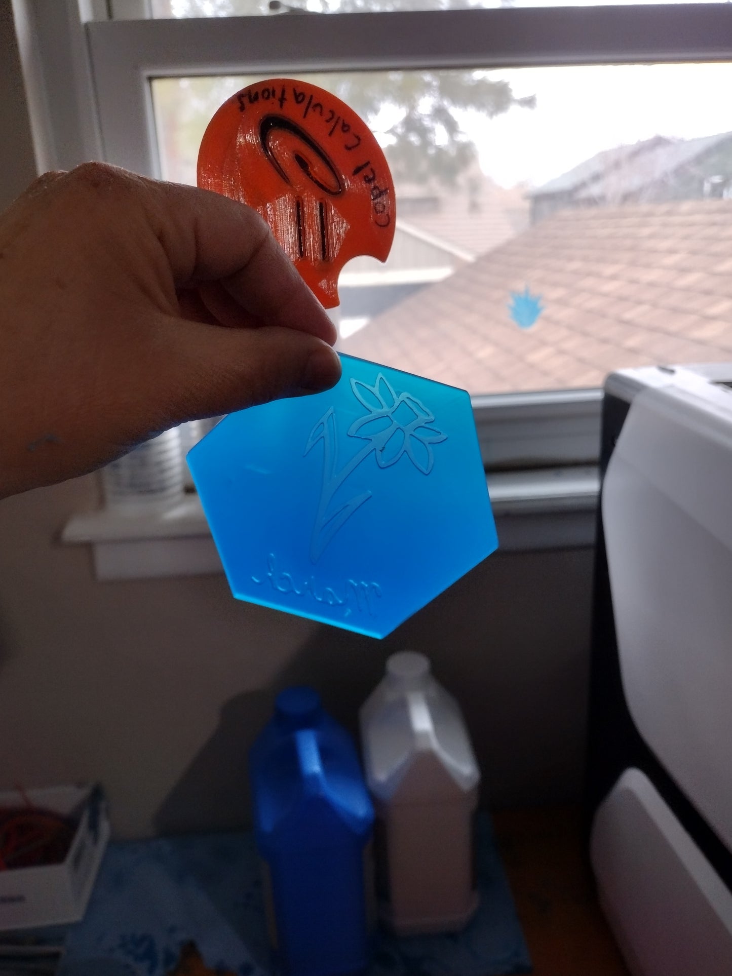 Birth Month Flowers (inserts for hexagon mold)