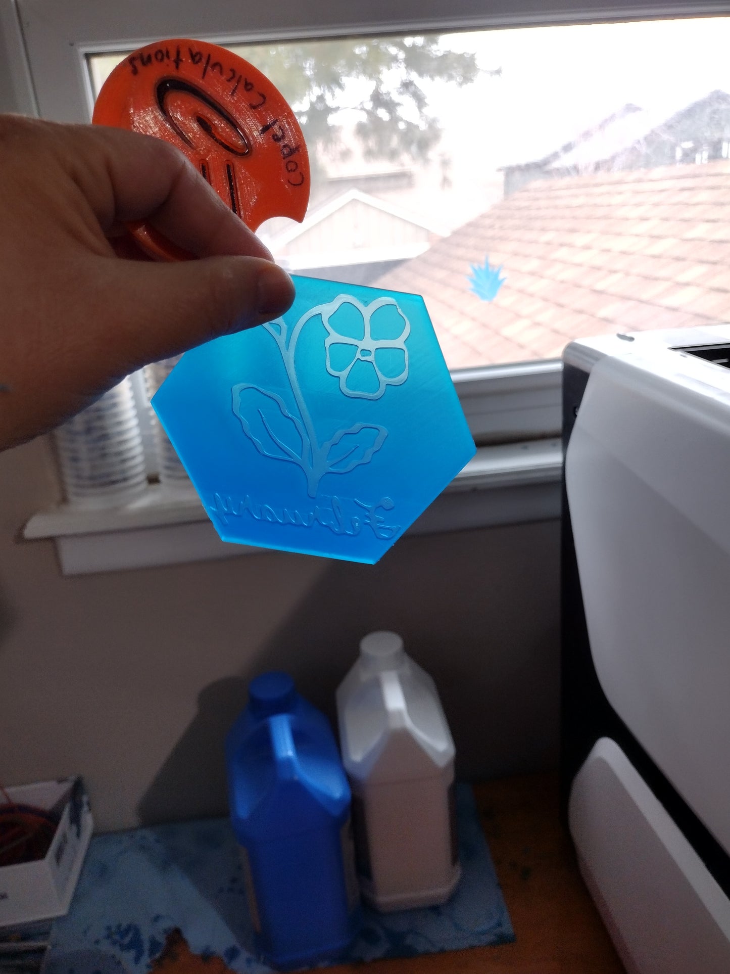 Birth Month Flowers (inserts for hexagon mold)