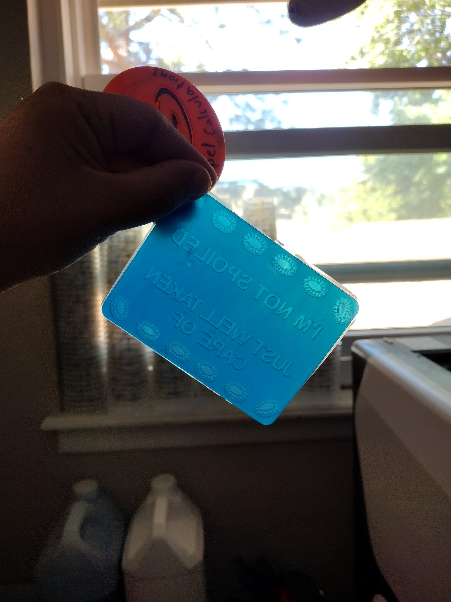 Not Spoiled (insert for rounded rectangle)