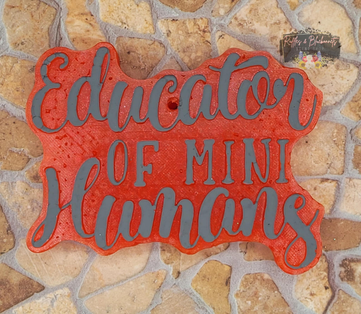 Educator of Mini Humans