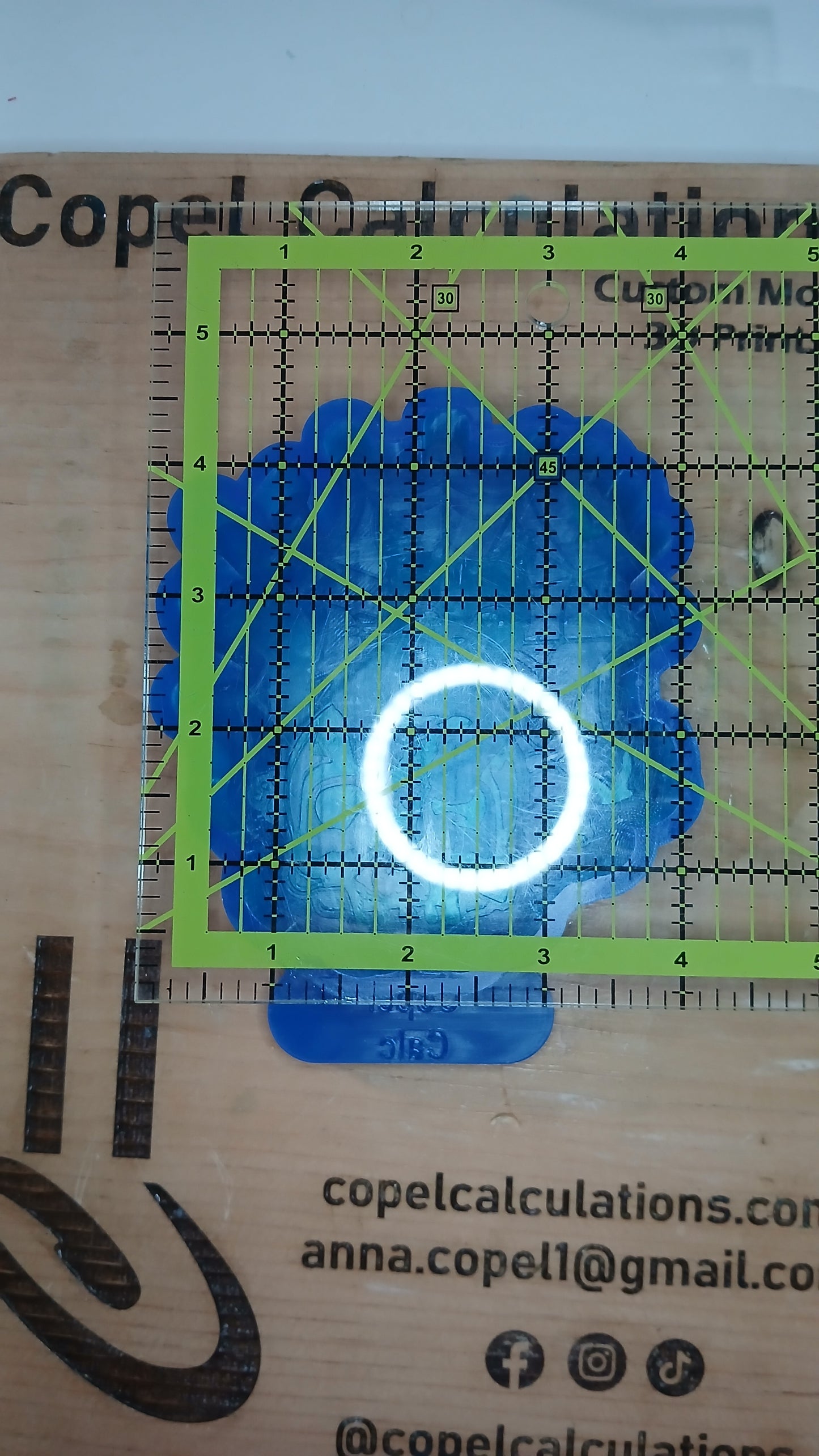 Cat with Skull and Cobwebs