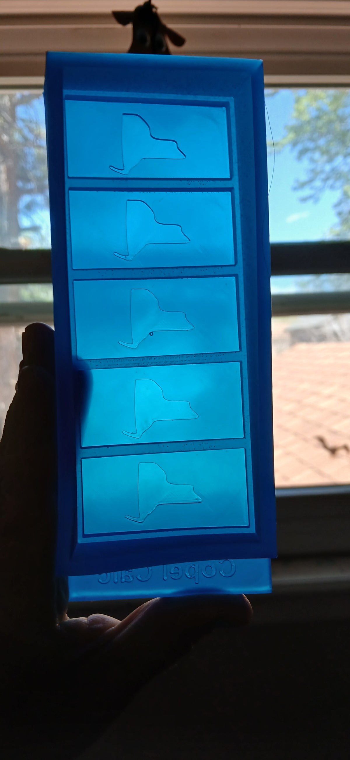 Snap Bar Molds - States