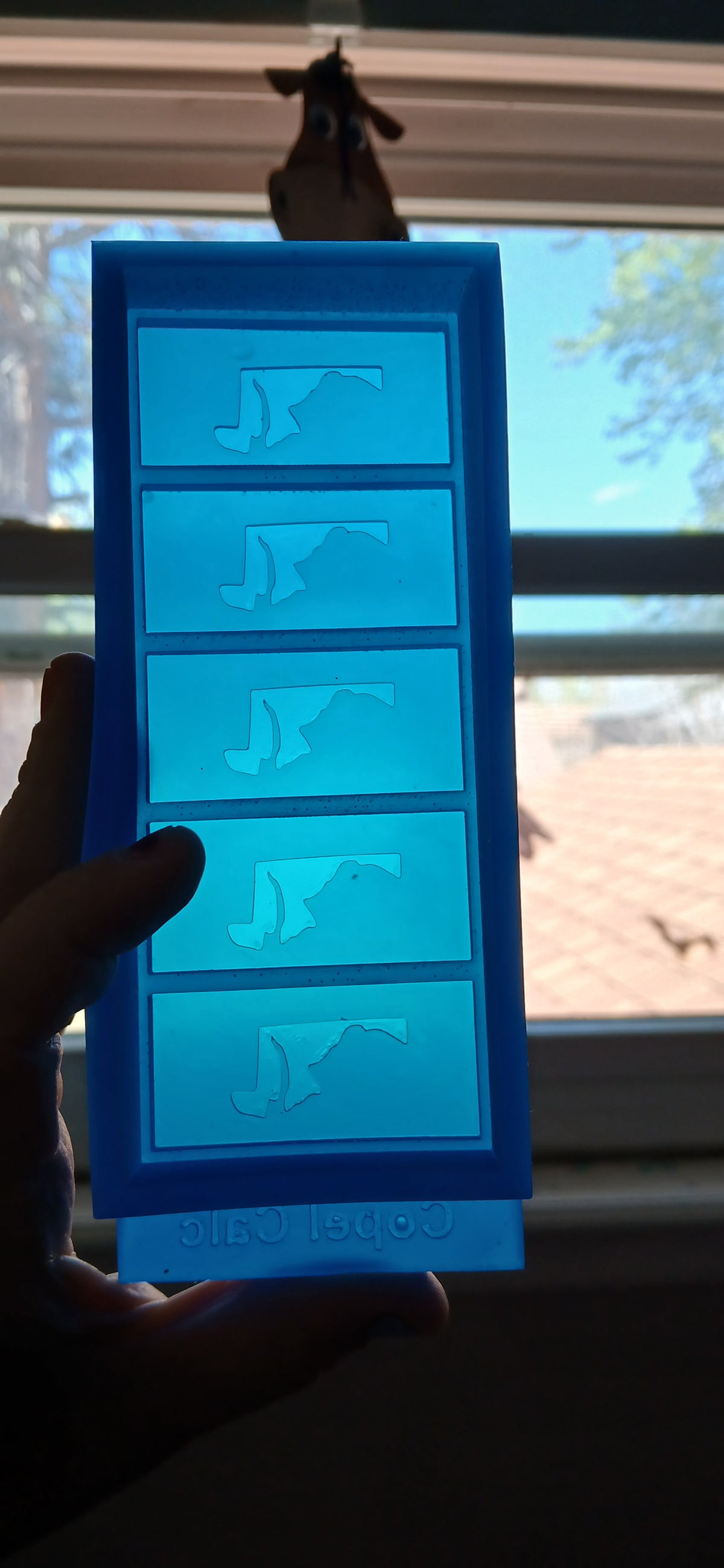 Snap Bar Molds - States