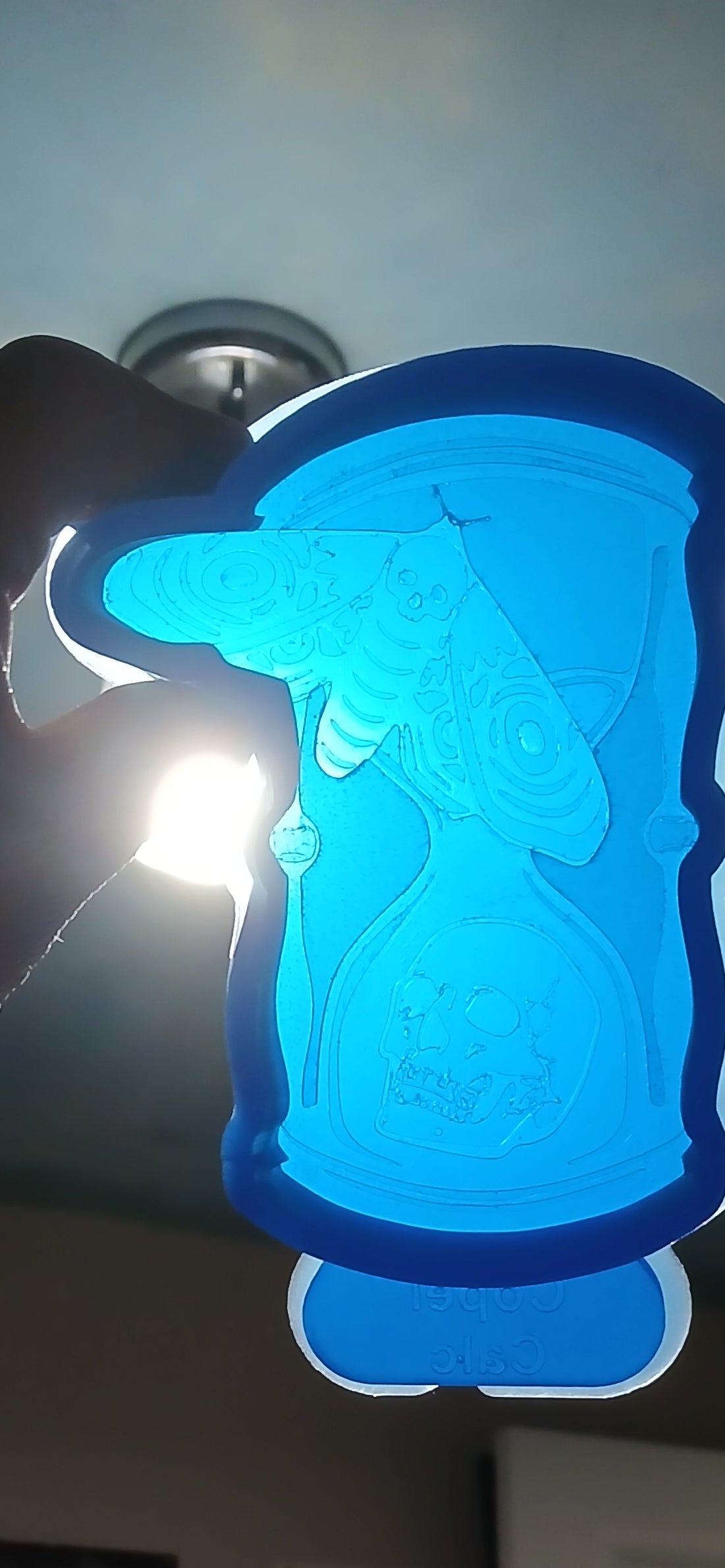 Hourglass Skull and Death Head Moth